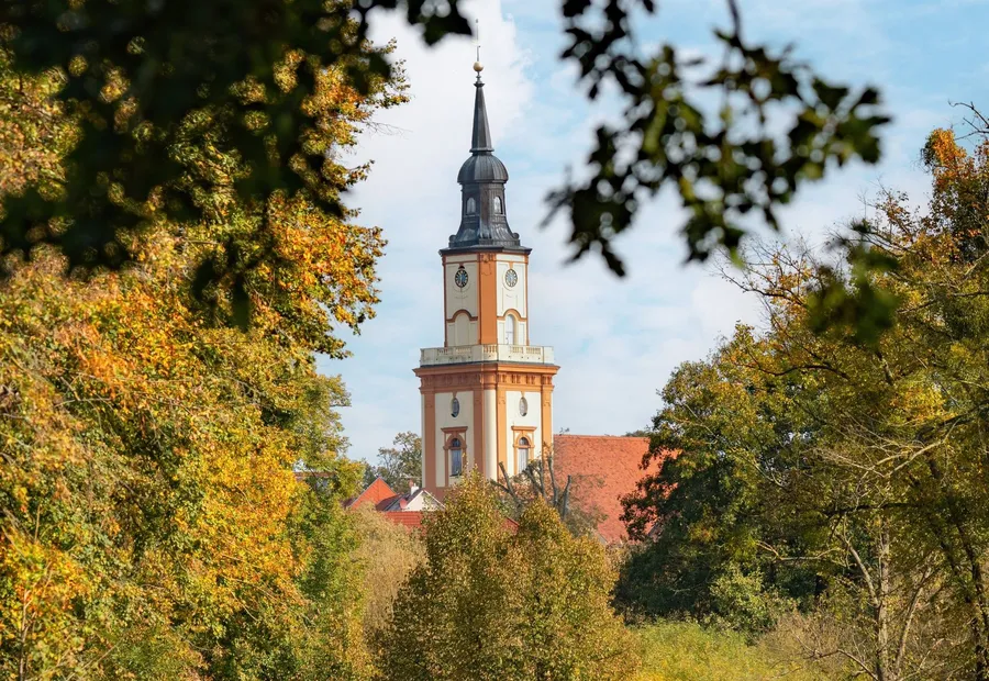 Kirchturm über Baumkronen am Ortsrand